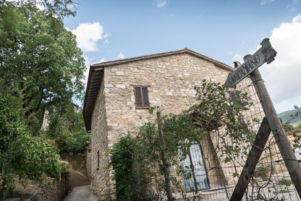 B&B Cantico Delle Creature Assisi Exteriör bild