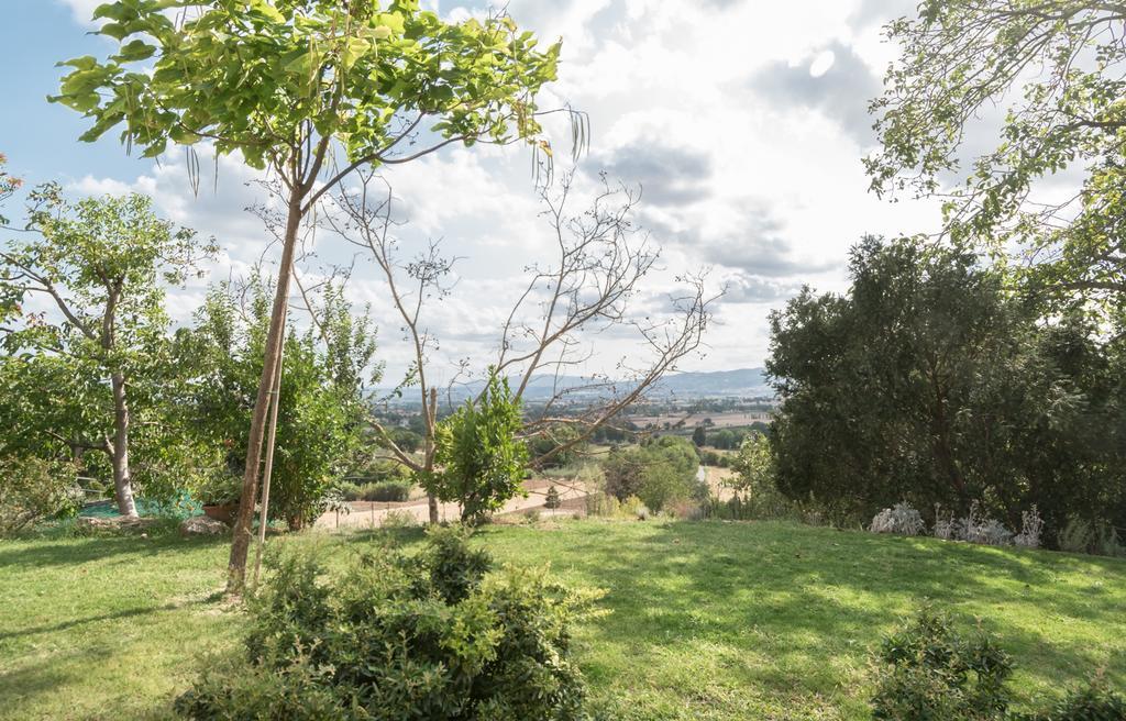 B&B Cantico Delle Creature Assisi Exteriör bild