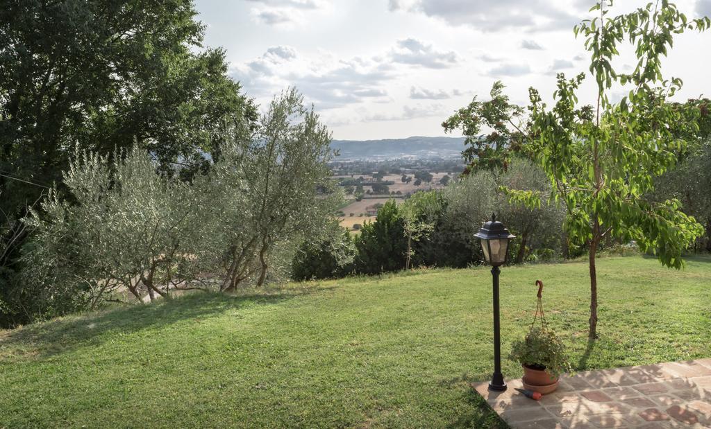 B&B Cantico Delle Creature Assisi Exteriör bild
