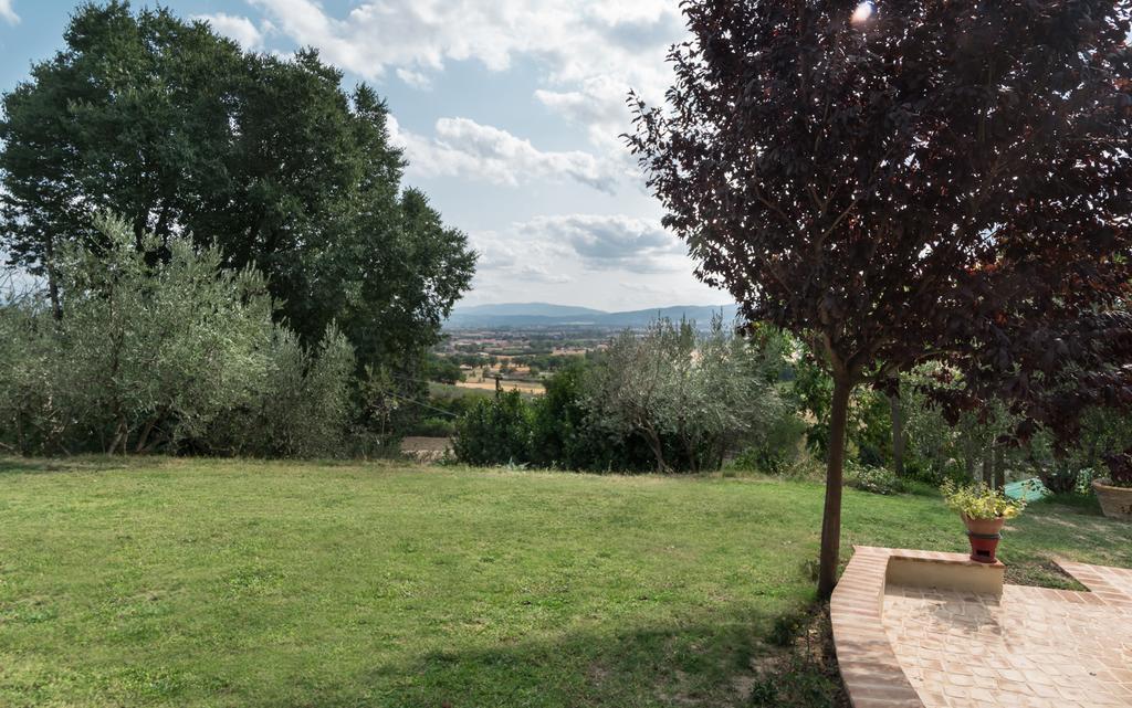 B&B Cantico Delle Creature Assisi Exteriör bild
