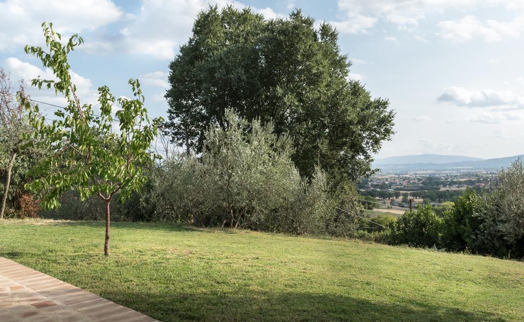 B&B Cantico Delle Creature Assisi Exteriör bild