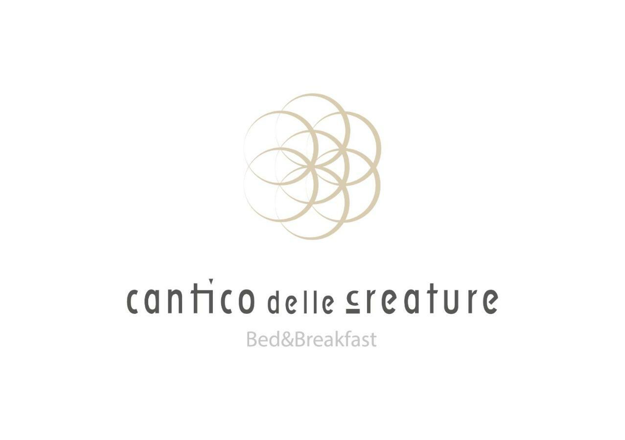 B&B Cantico Delle Creature Assisi Exteriör bild